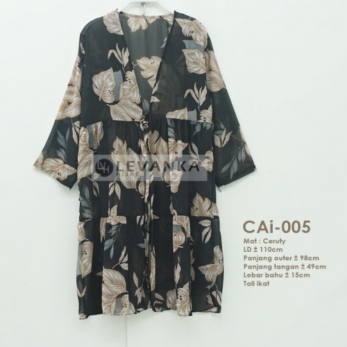 CAi-005 Outer Ceruti / Cerutty motif
